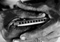 arch_harmonica0807.jpg