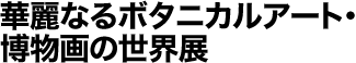 古董·波塔尼卡艺术与博物画古书展 | 1800年代欧洲铜版画黄金时代制作的名鉴和图谱收藏品