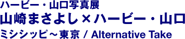 哈比・山口写真展山崎雅吉x哈比・山口ミシイ~东京/Alternative Take