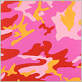 Camouflage, 1987