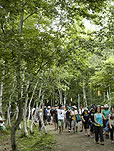 Fuji Rock Festival