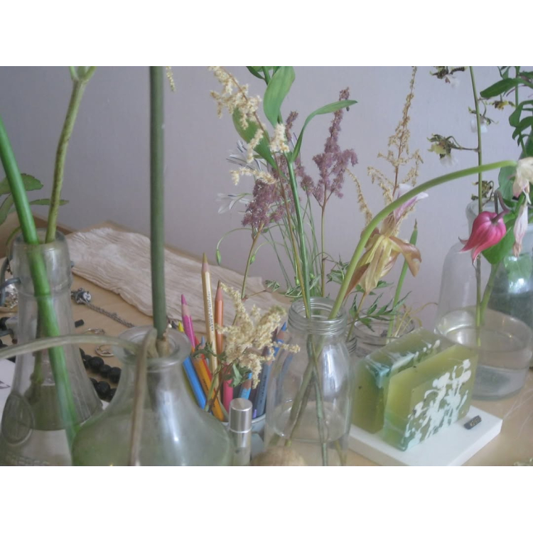 Work Shop「Plant Drawing Club」