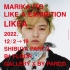 MARIKA ITO LIKE A EXHIBITION LIKEA