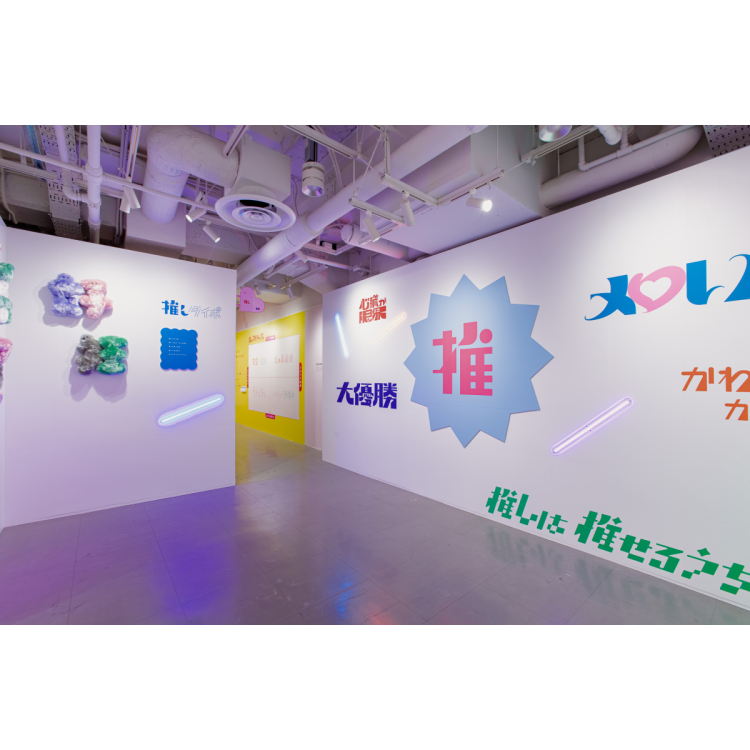 展示内容