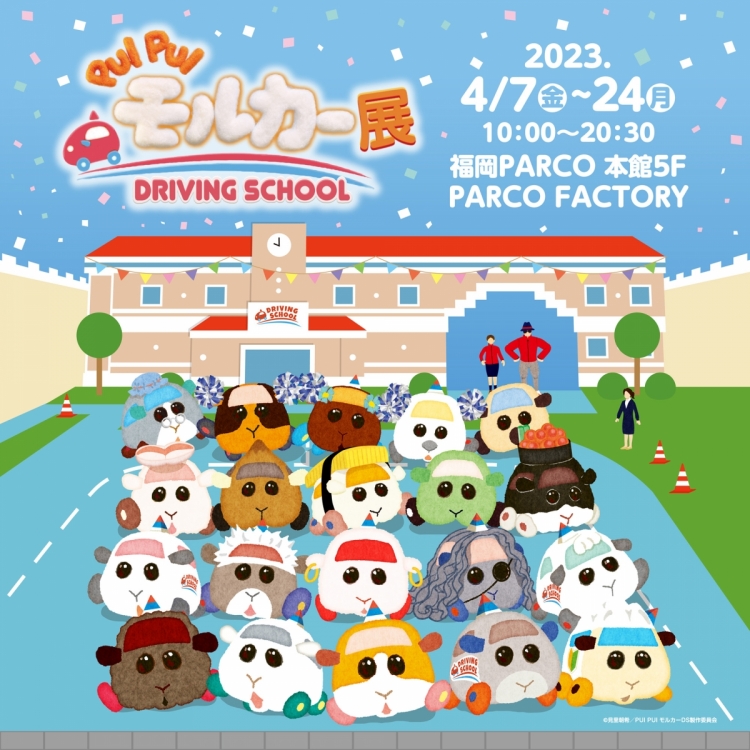 PUI PUI摩尔卡展DRIVING SCHOOL