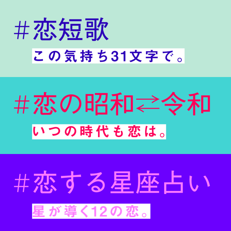 展示内容