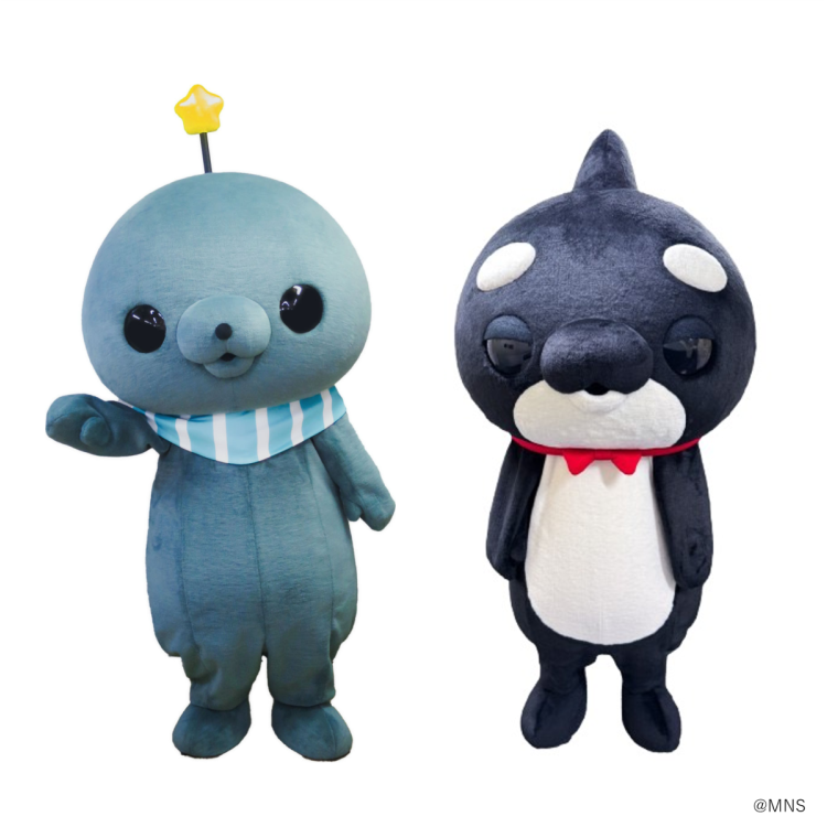 致参加摄影会的各位(事前票制)